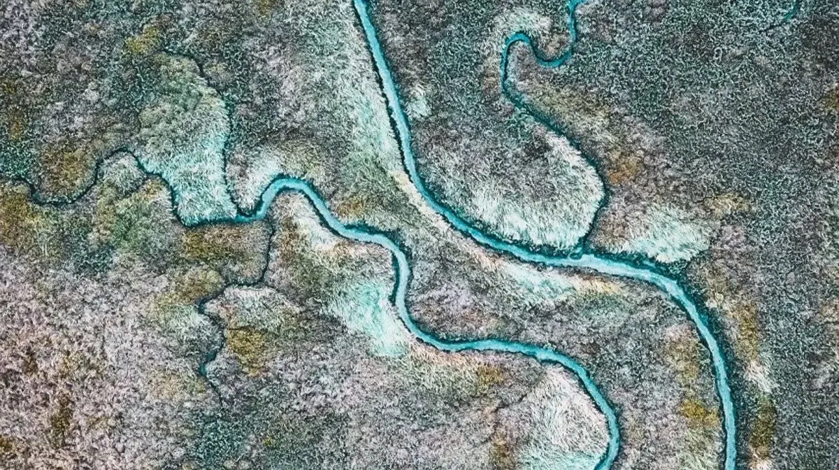 All You Need to Know About Fermented Skincare