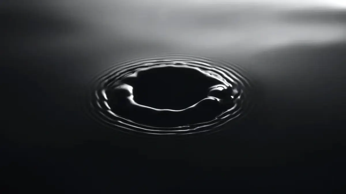 What is a BioIntact Emulsion?