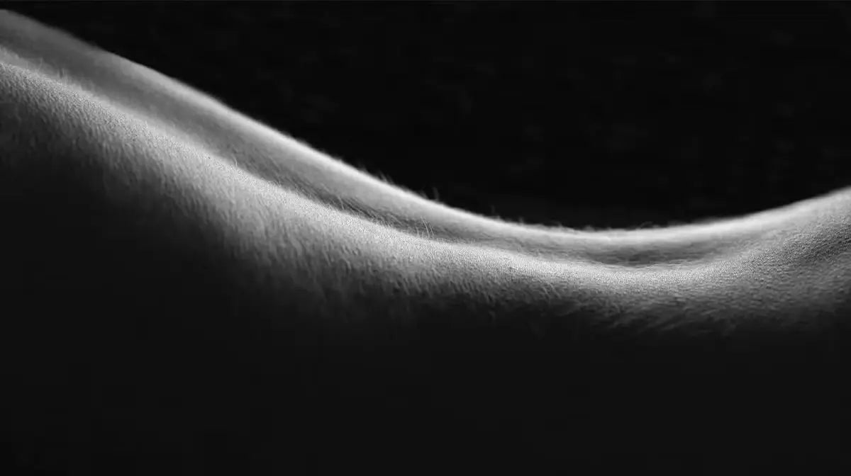 What is Human Stem Cell Conditioned Media? Plus, How It Benefits Your Skin