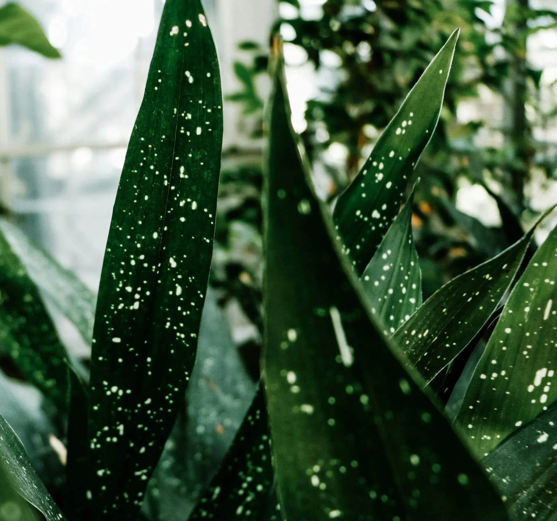 How to Even Out Skin Tone