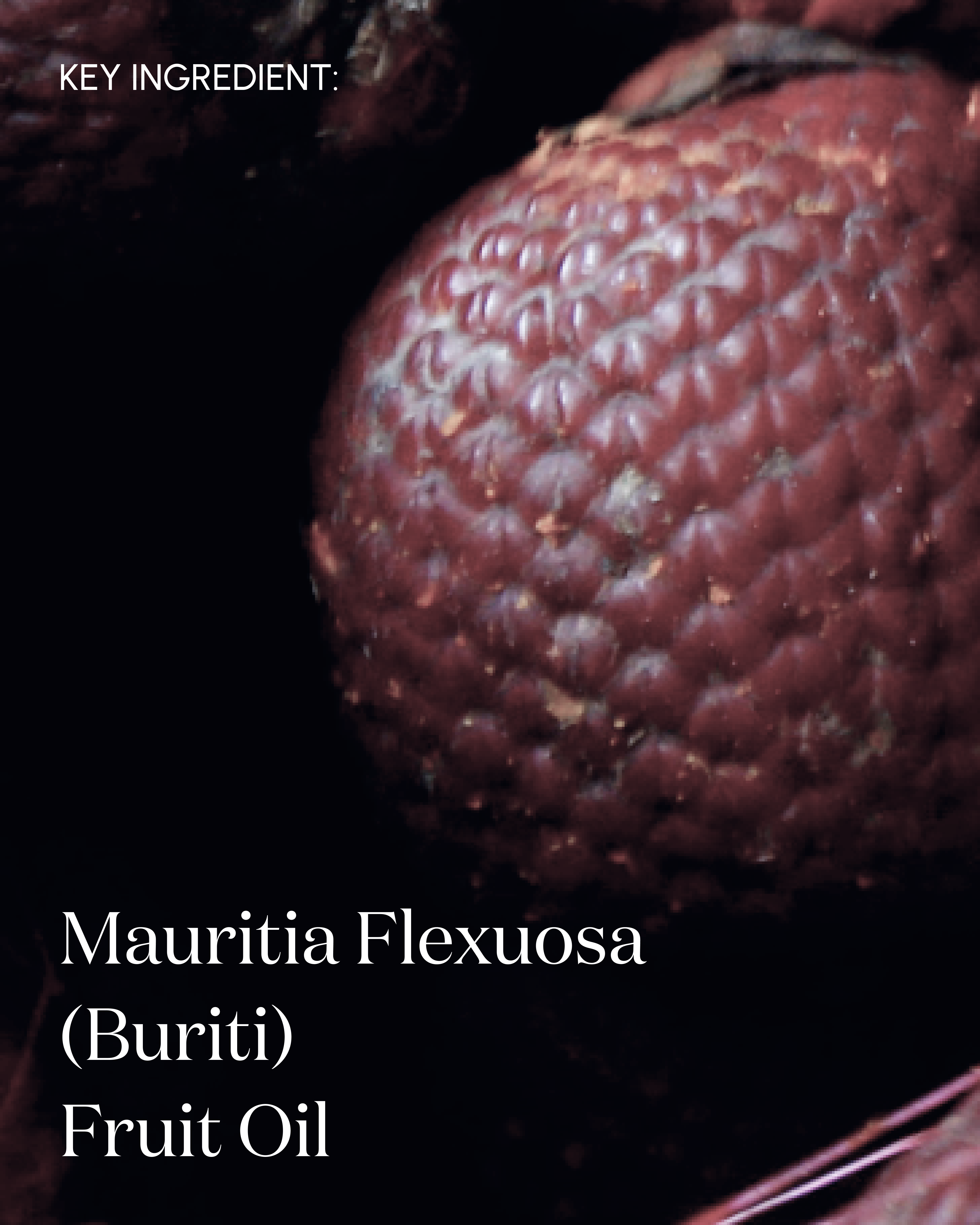 Rebalance001 Firming Face Oil