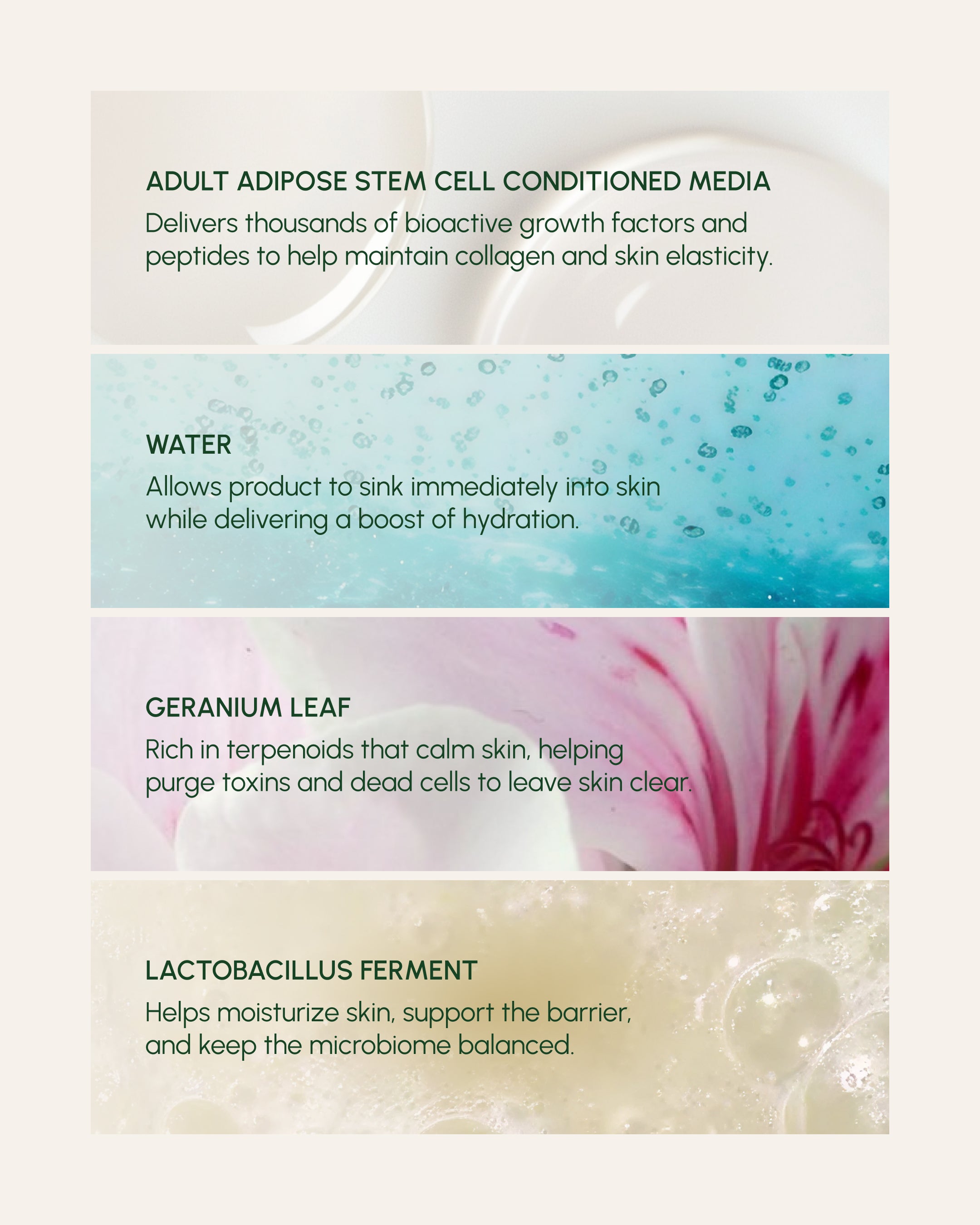 The Answer Reparative Serum
