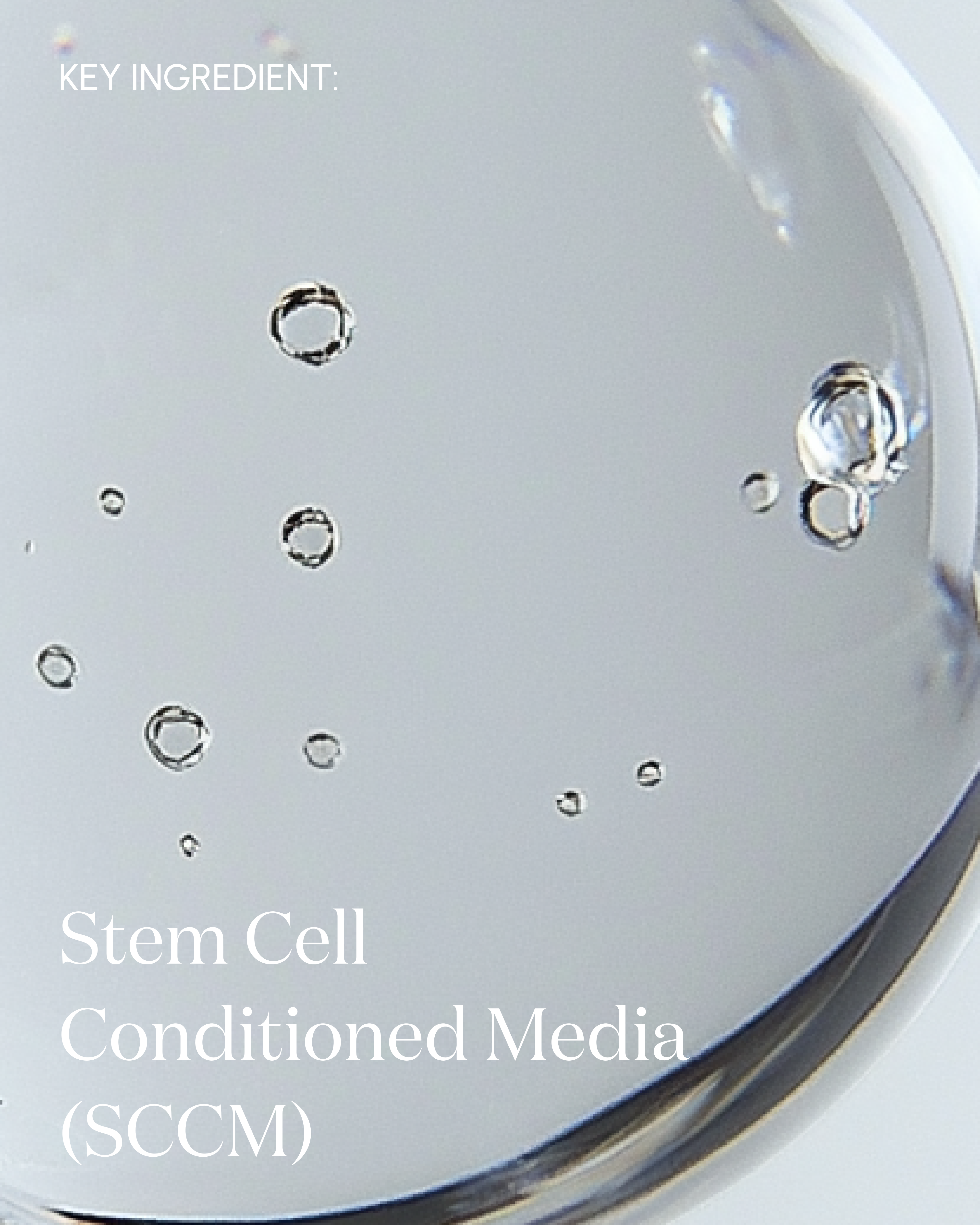 The Answer Reparative Serum