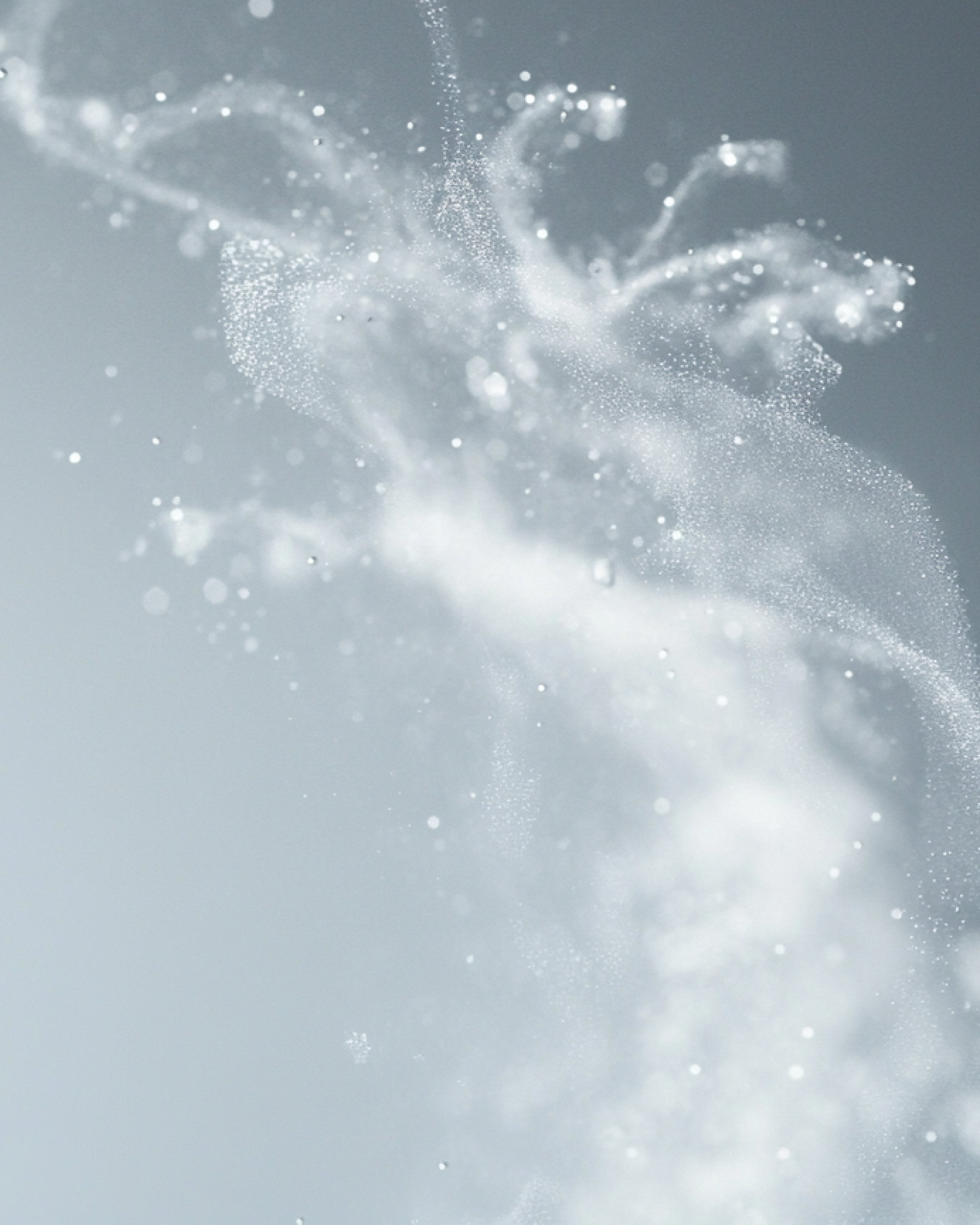 The Essence Rejuvenating Mist