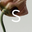 Symbiome logo