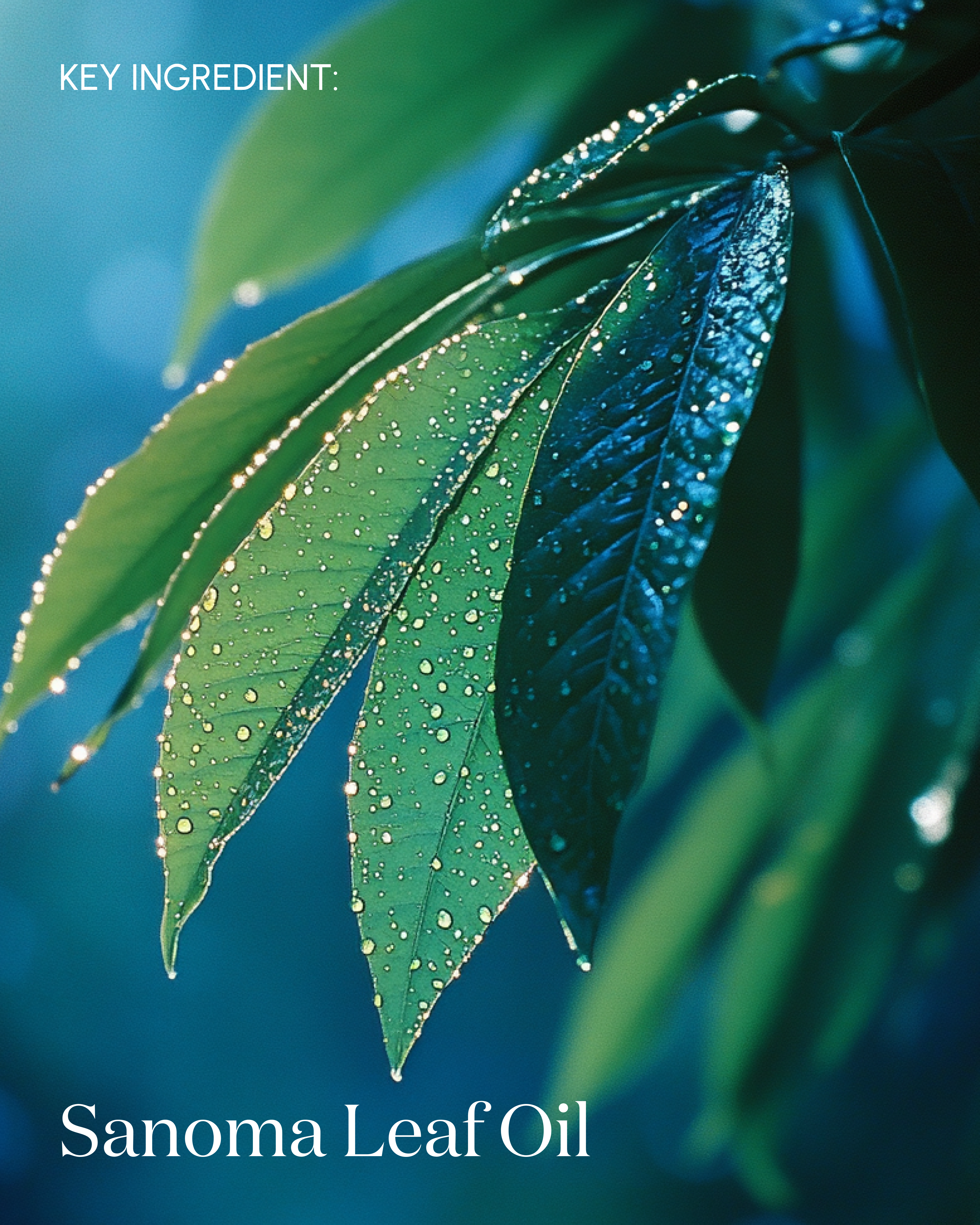 The Revitalizing Duo